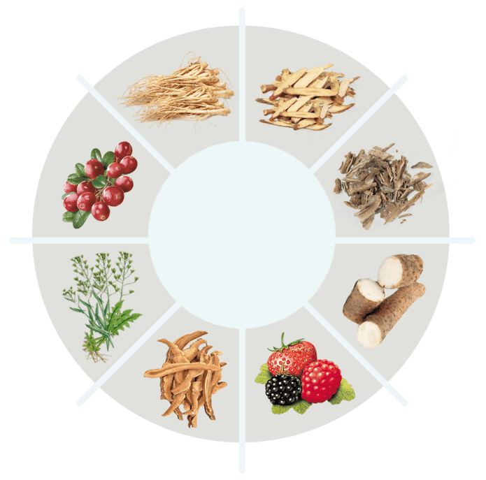 AquaSculpt Supplement